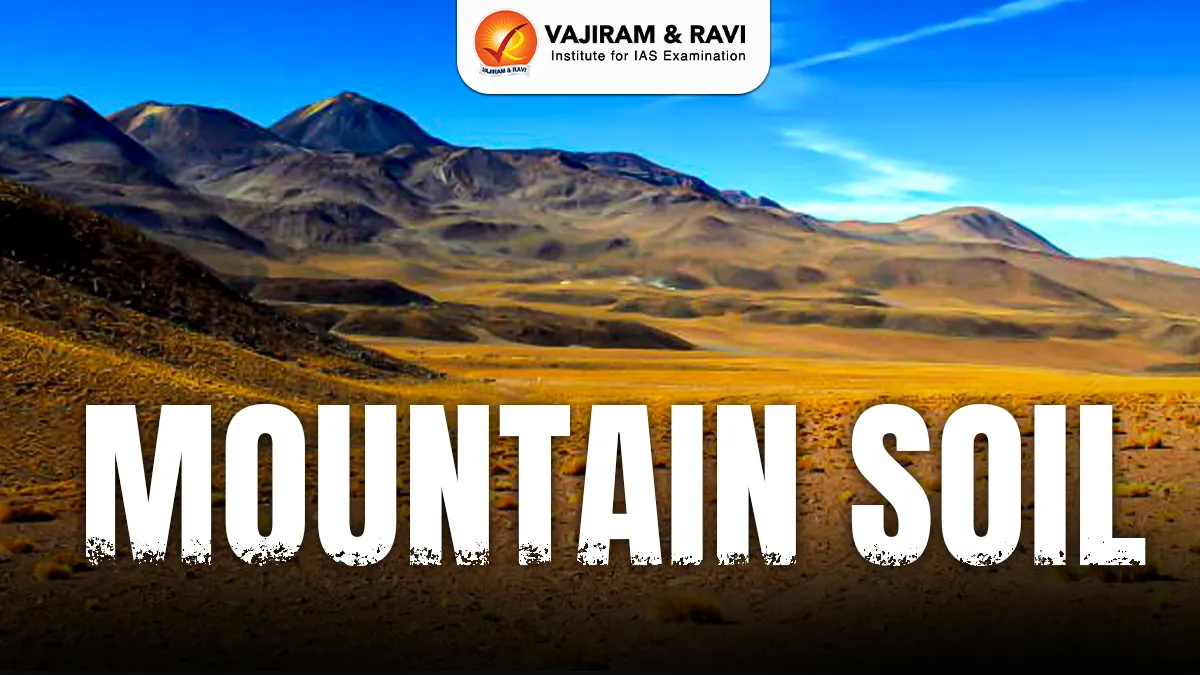 Mountain Soil