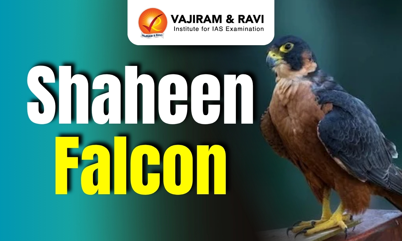 Shaheen Falcon