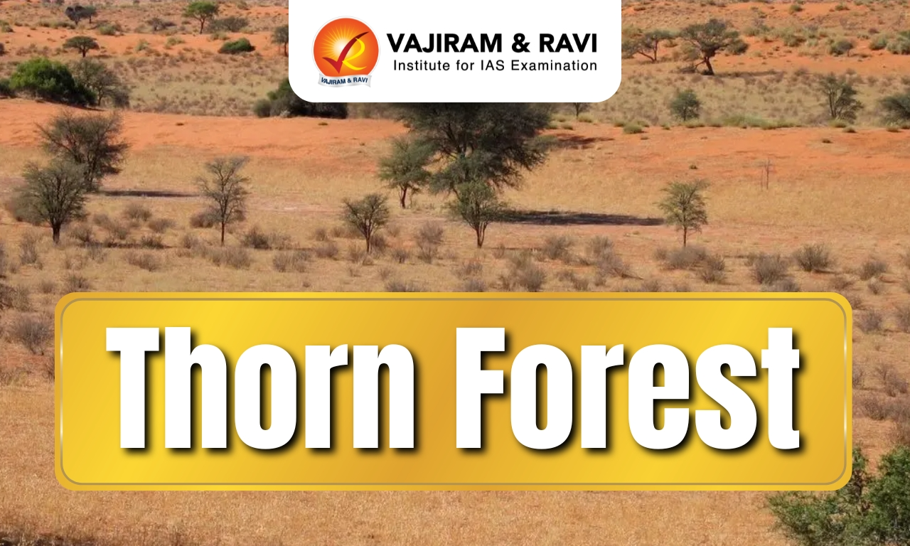 Thorn Forest