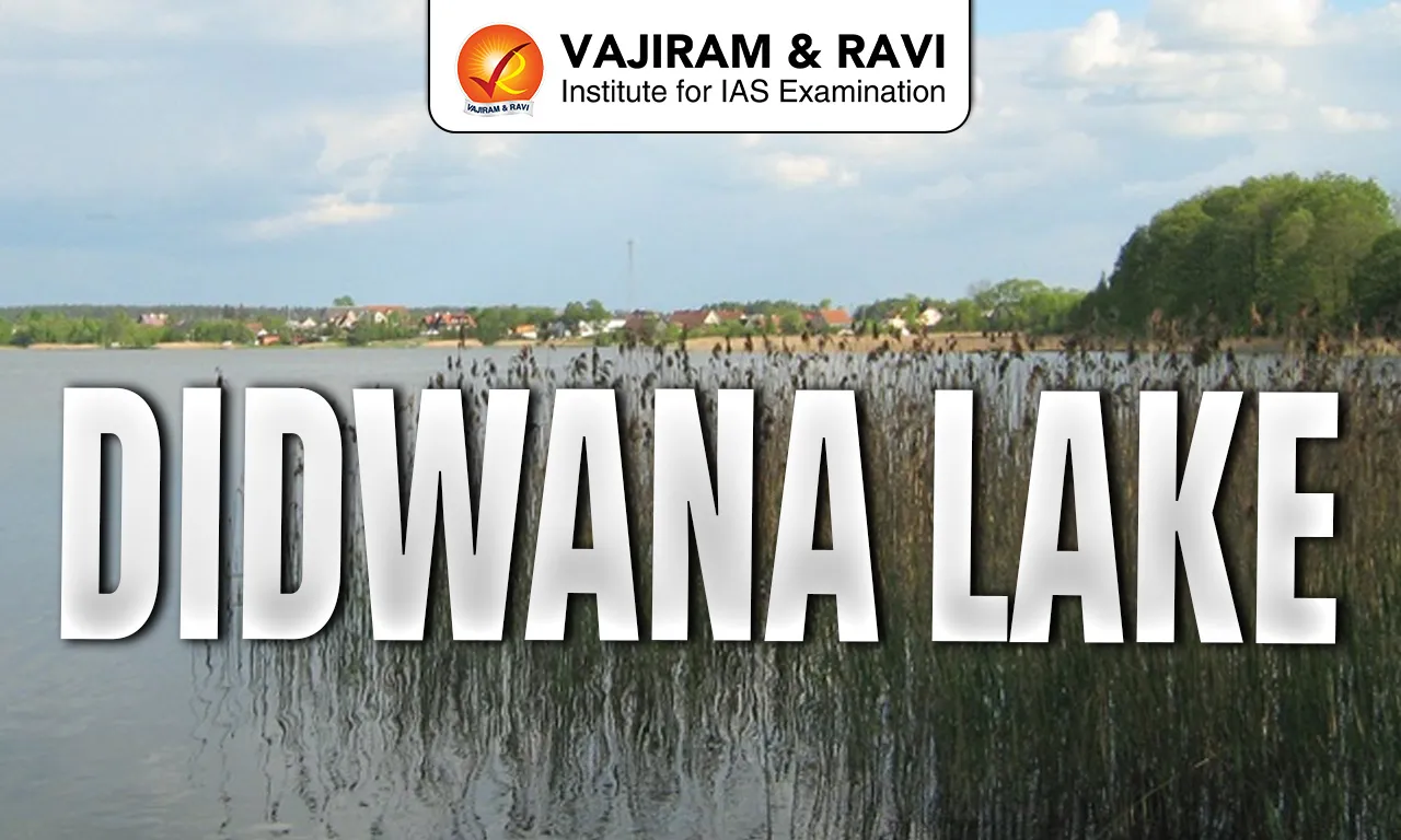 didwana lake