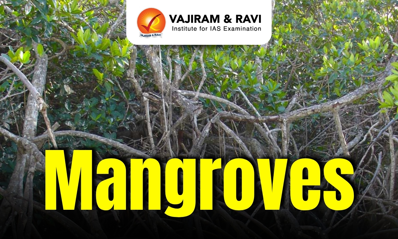Mangroves