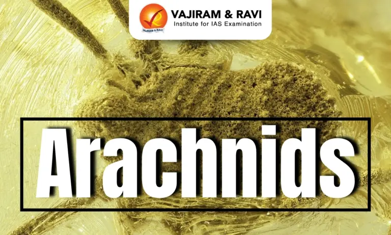 Arachnids