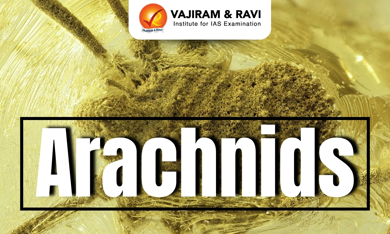 Arachnids