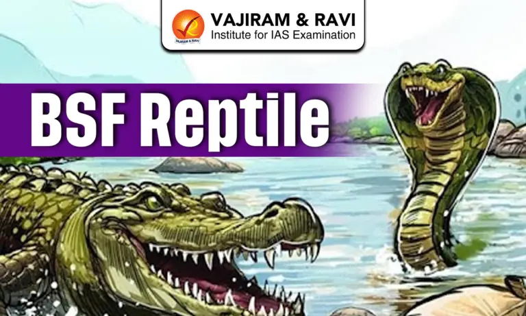 BSF Reptile