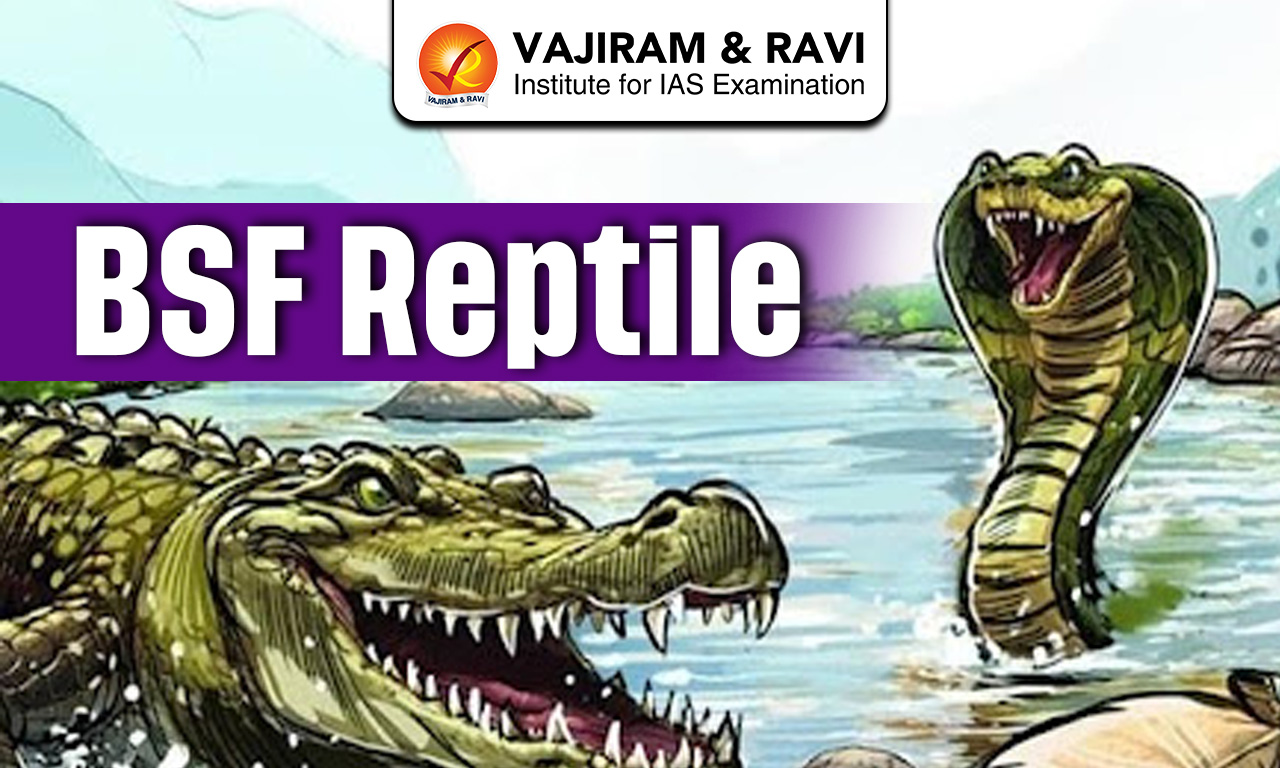 BSF Reptile