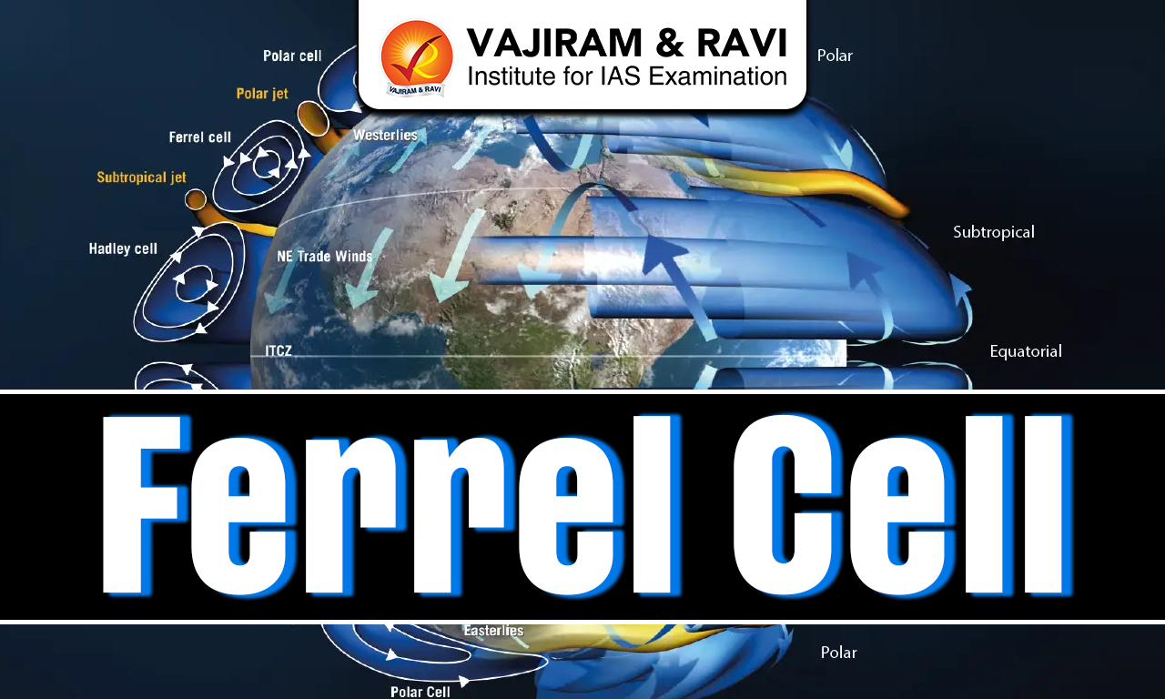 Ferrel Cell