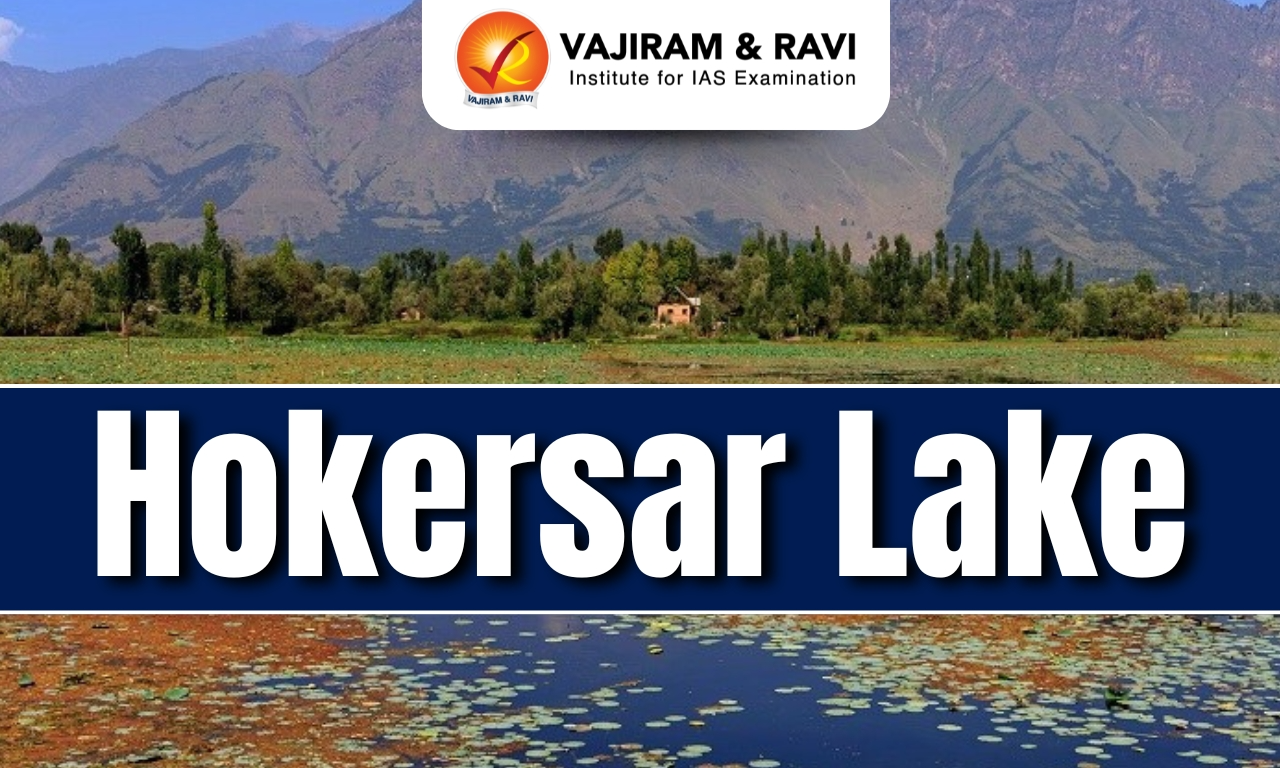 Hokersar Lake