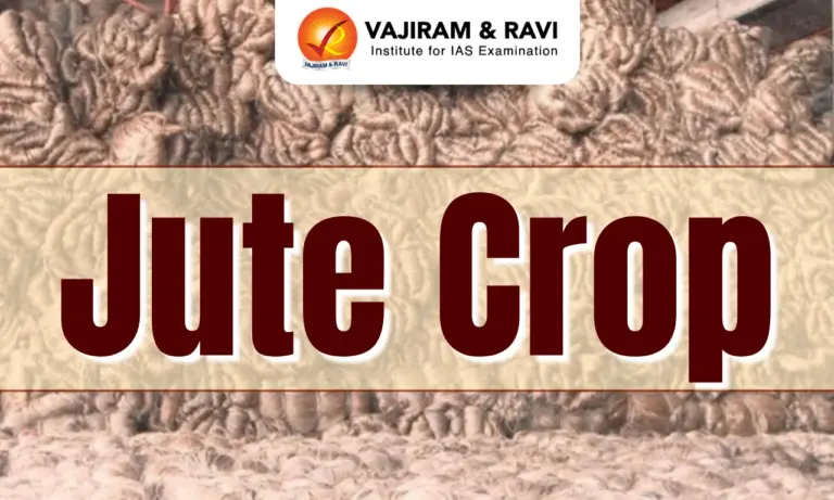 Jute Crop