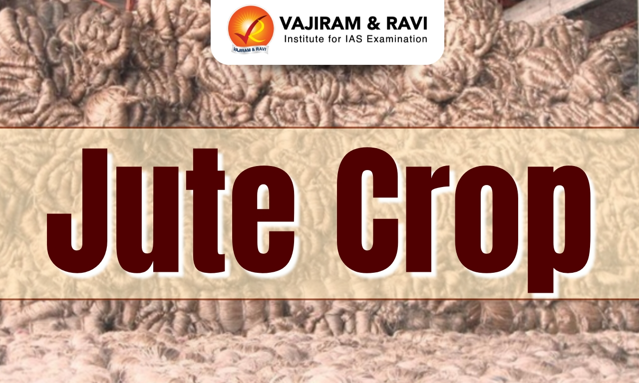 Jute Crop