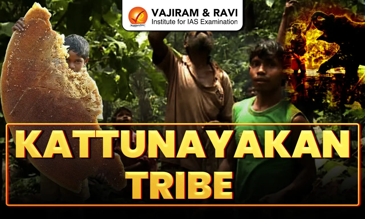 Kattunayakan Tribe