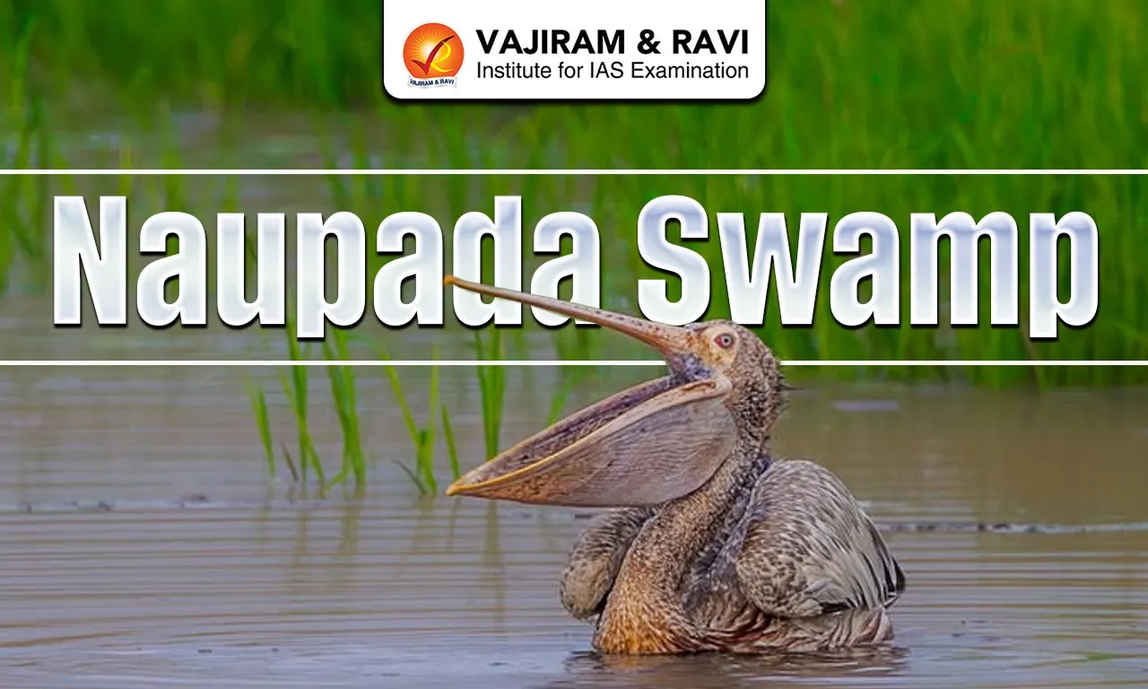 Naupada Swamp