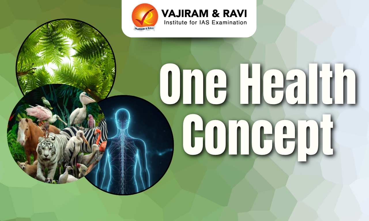 One Health Concept
