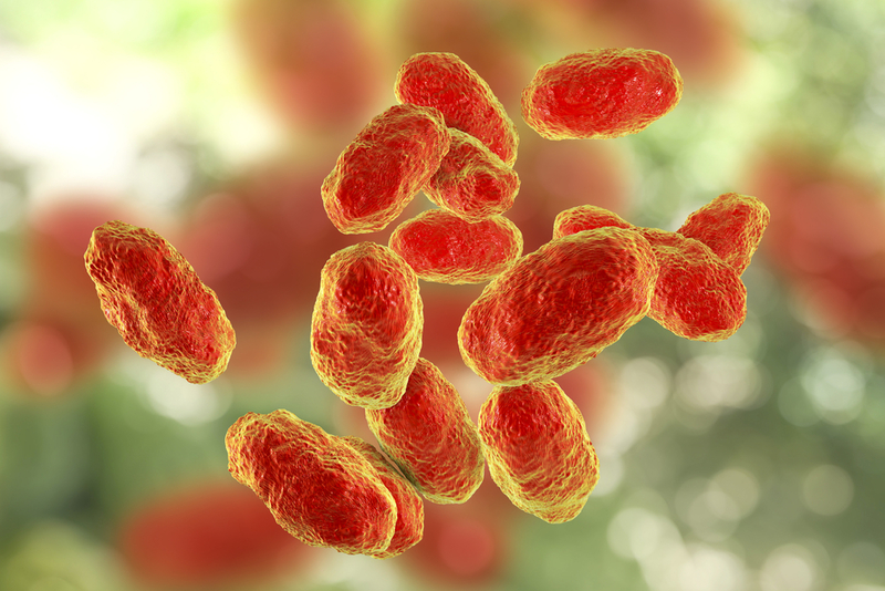 What is Hib Disease