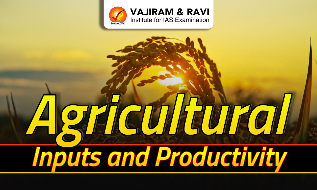 Agricultural Inputs and Productivity