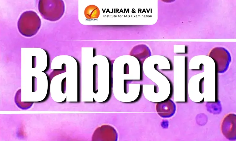 Babesia