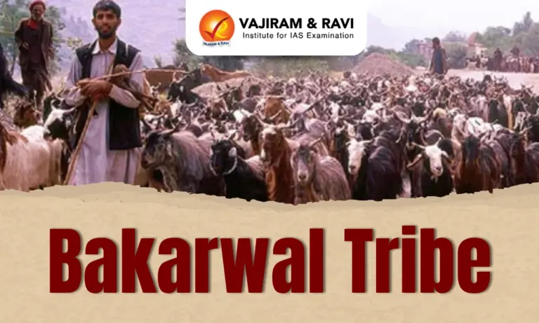 Bakarwal Tribe
