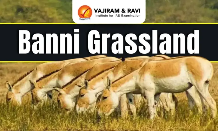 Banni Grassland