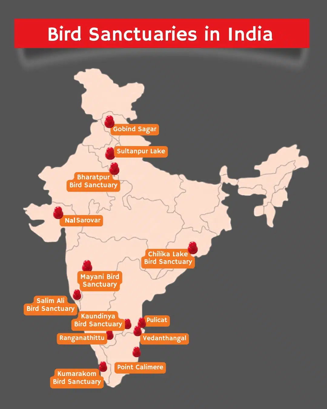 Bird Sanctuaries in India