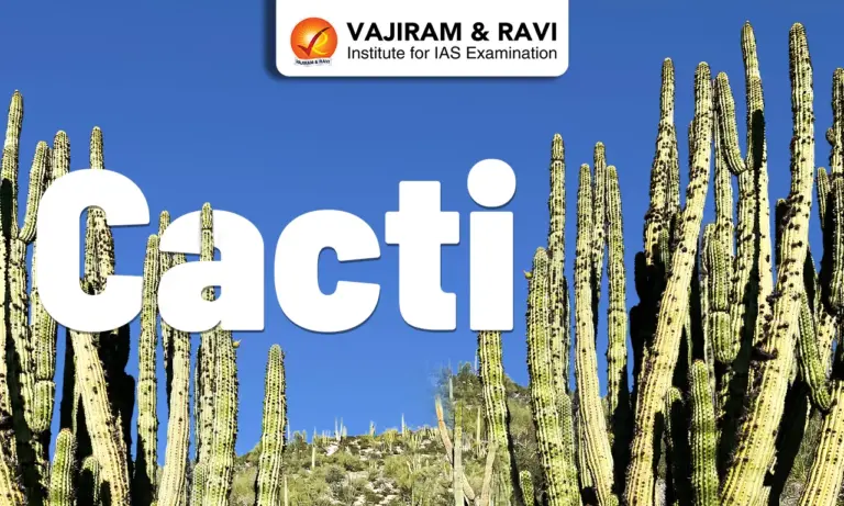 Cacti