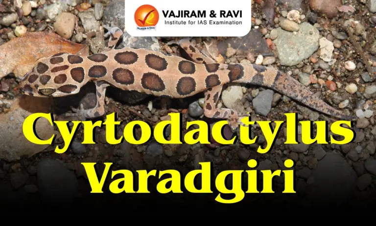 Cyrtodactylus varadgiri