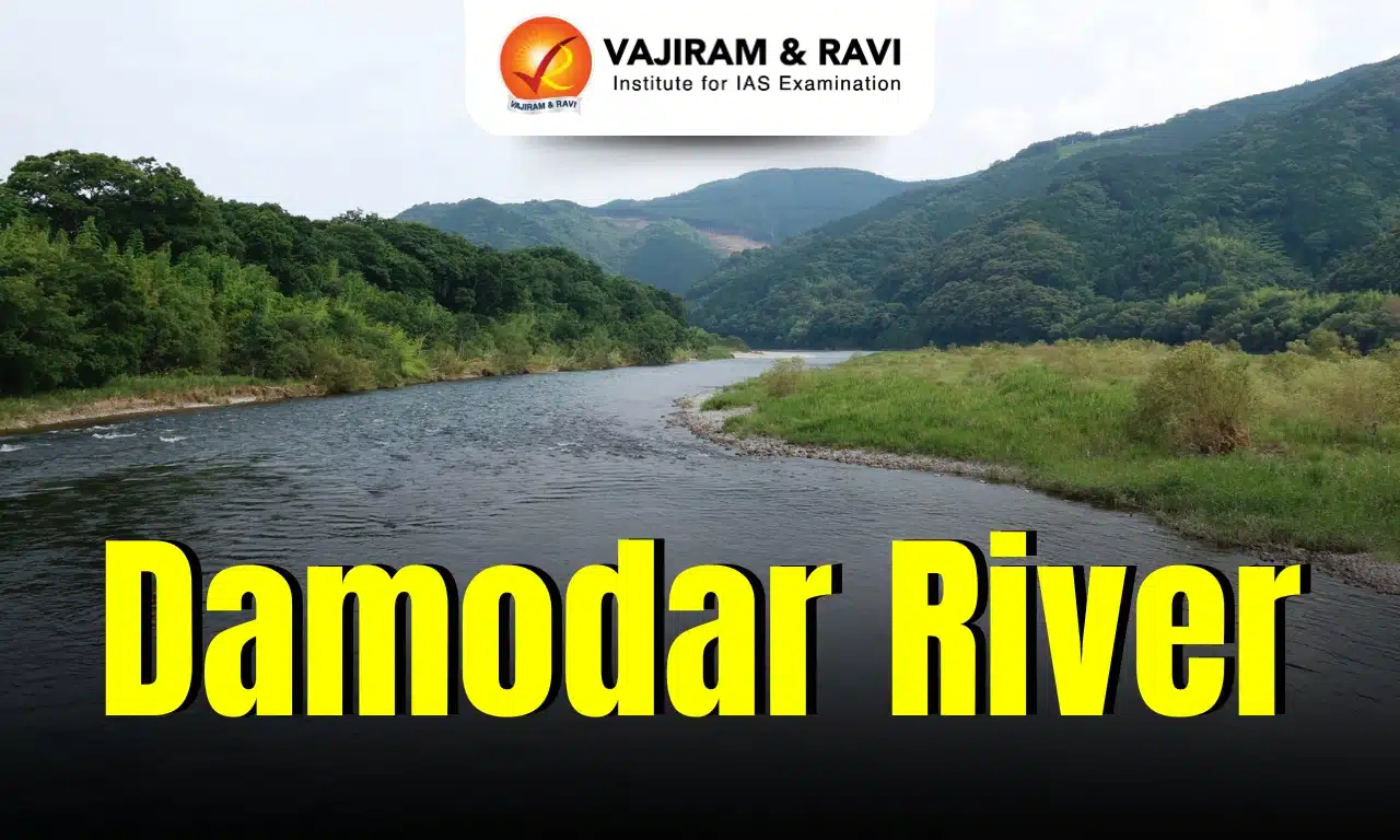Damodar River