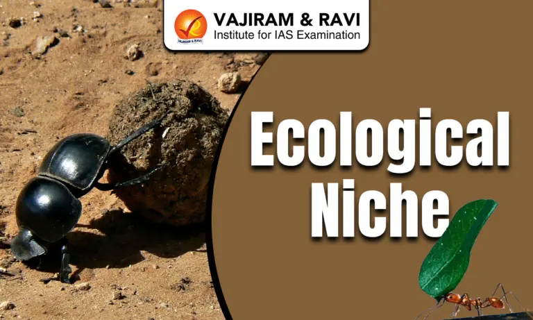 Ecological Niche