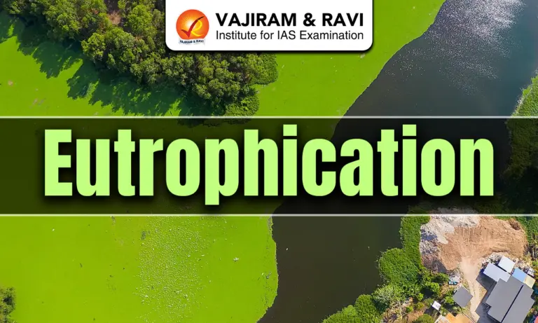 Eutrophication