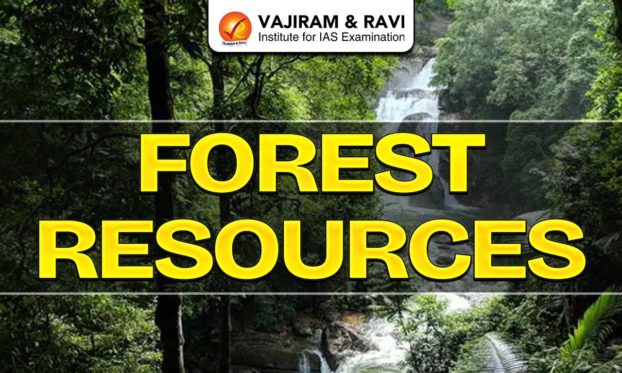 Forest Resources