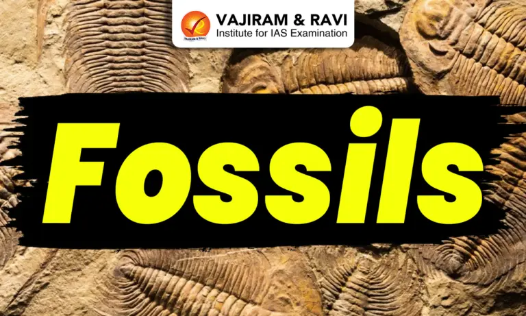 Fossils