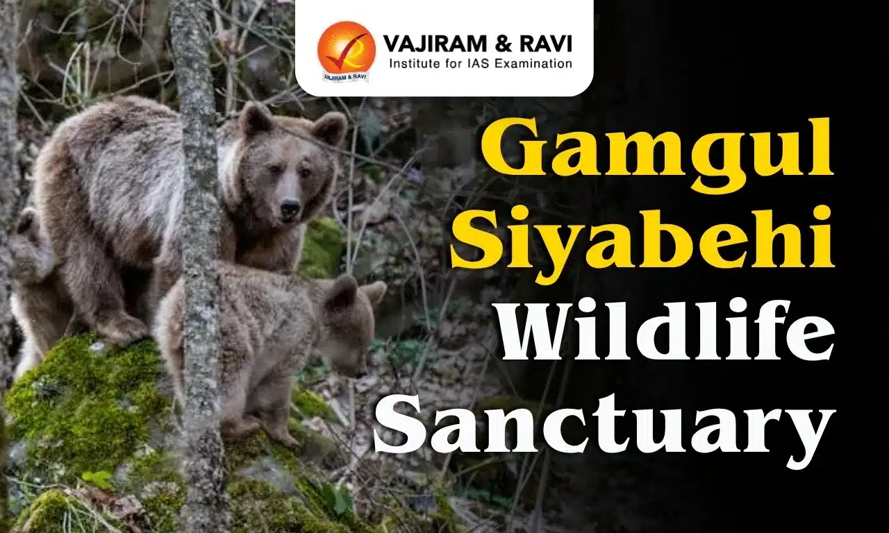 Gamgul Siyabehi Wildlife Sanctuary