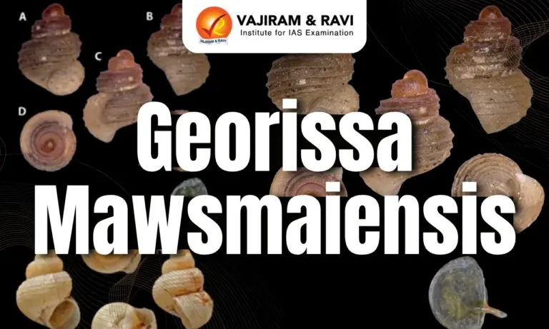 Georissa Mawsmaiensis