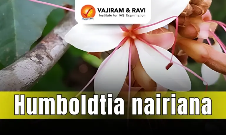 Humboldtia nairiana