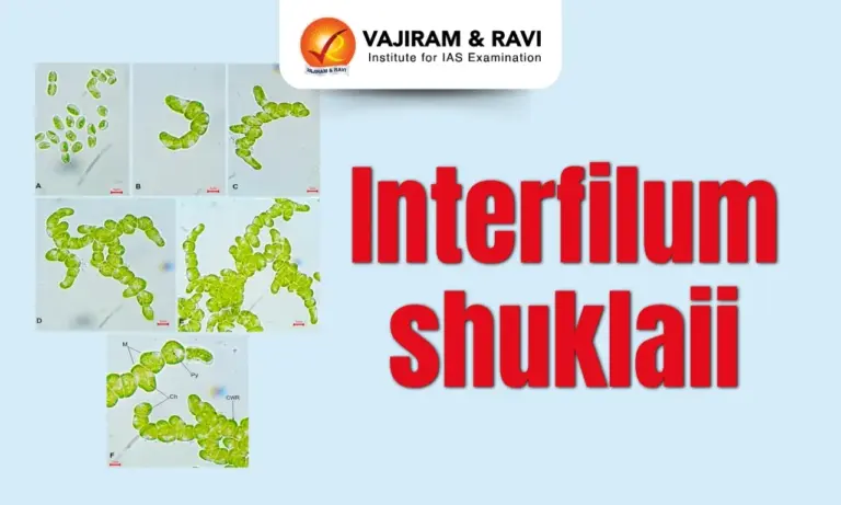 Interfilum shuklaii