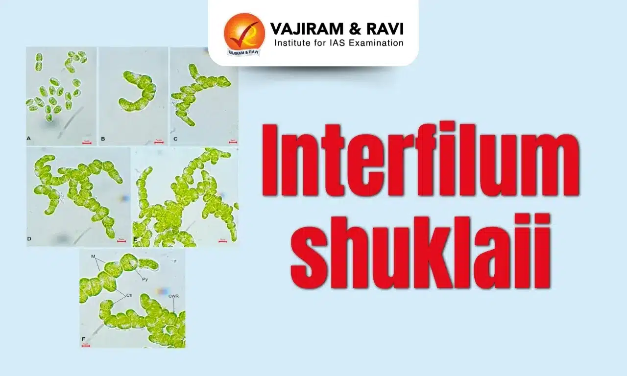 Interfilum shuklaii