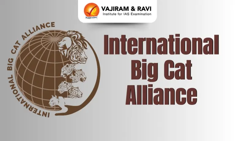 International Big Cat Alliance