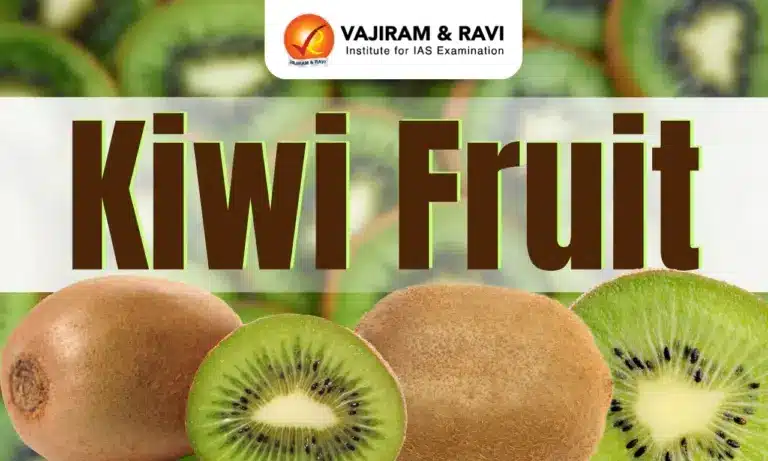Kiwi Fruit