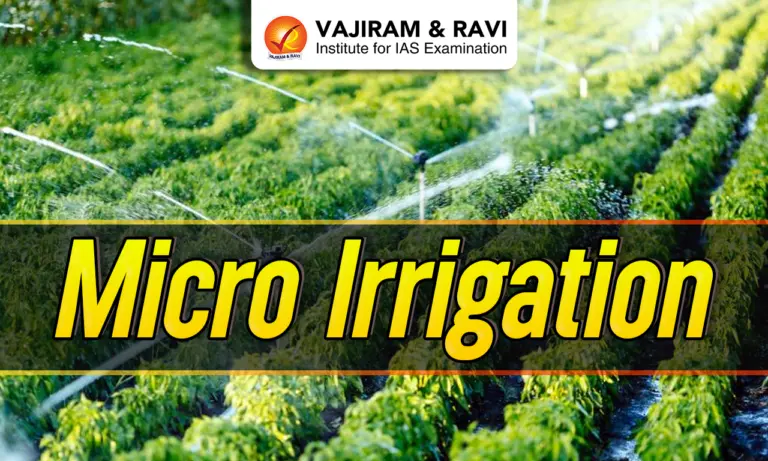 Micro Irrigation