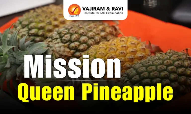 Mission Queen Pineapple