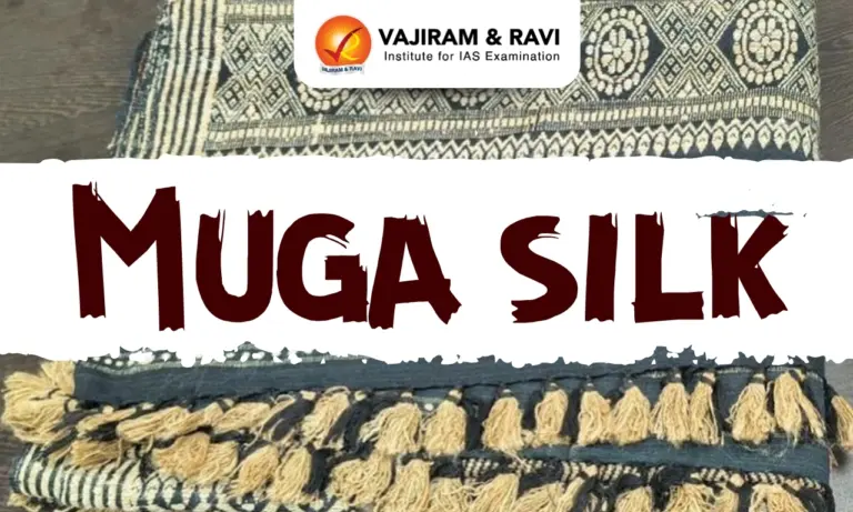 Muga Silk