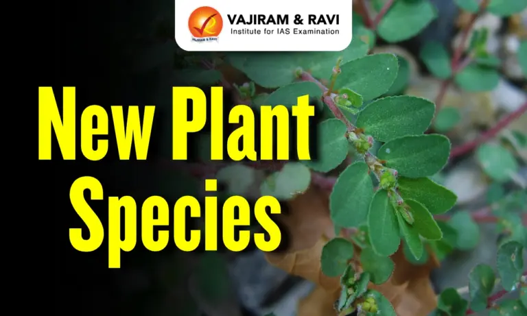 New Plant Species