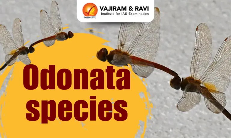 Odonata Species