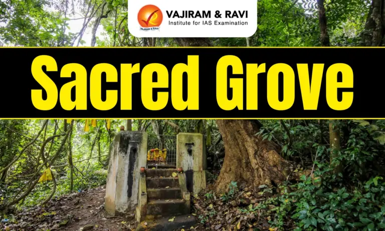 Sacred Grove