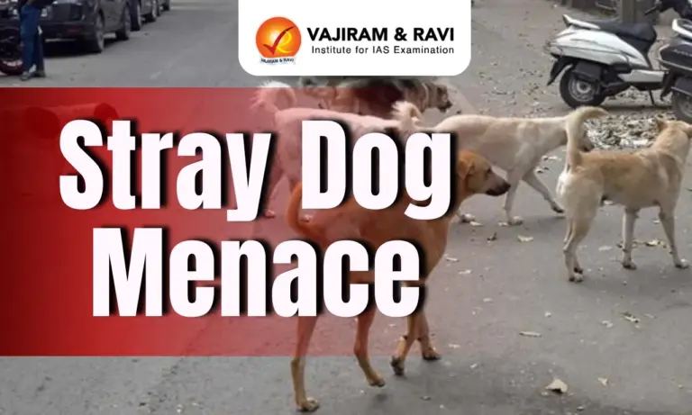 Stray Dog Menace