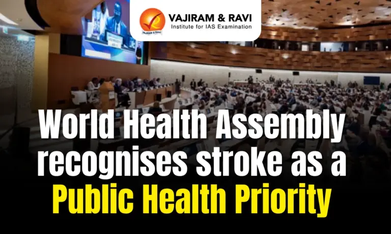 World Health Assembly Recognises Stroke as a Public Health Priority