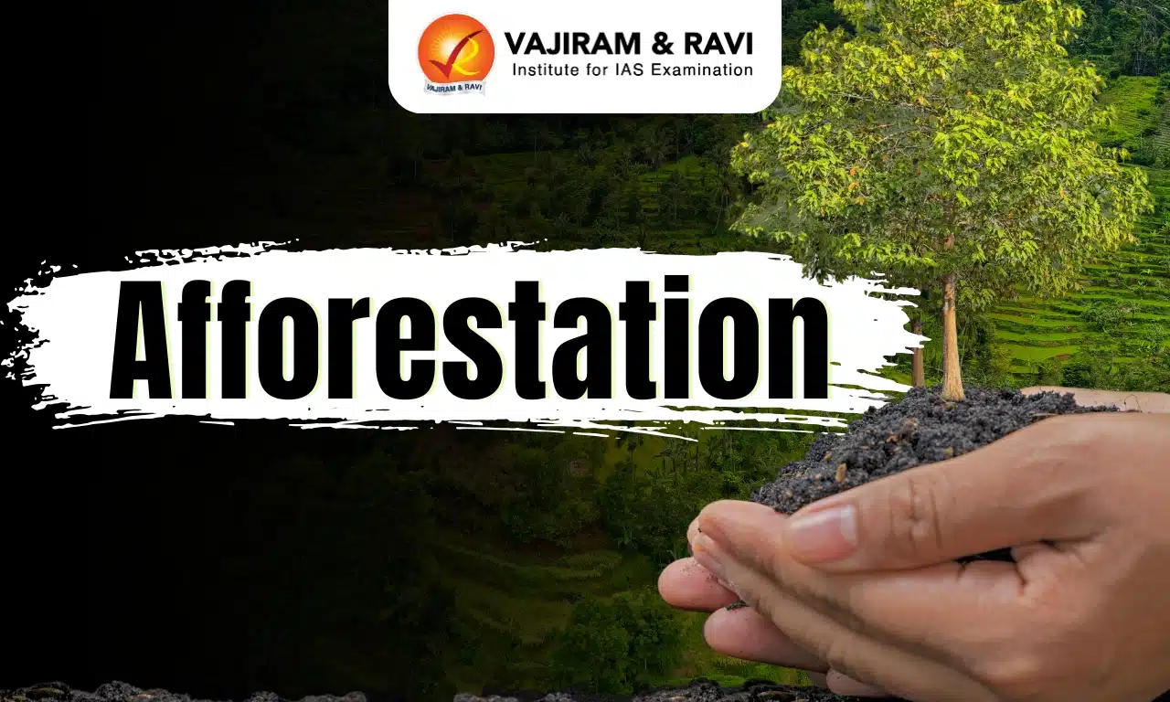 Afforestation