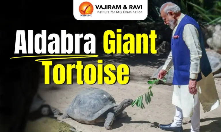 Aldabra Giant Tortoise