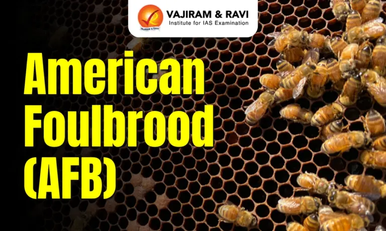 American Foulbrood (AFB)