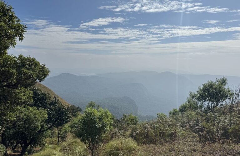 Arabithittu Wildlife Sanctuary