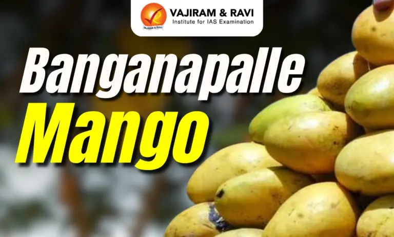 Banganapalle Mango