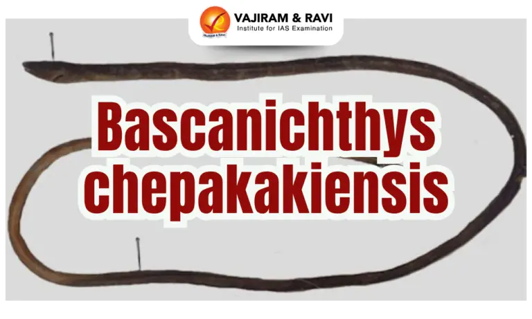 Bascanichthys chepakakiensis